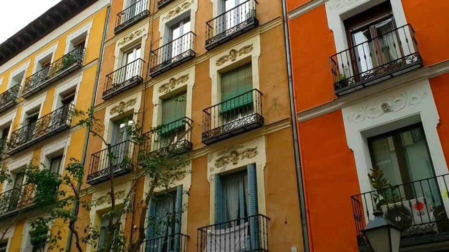 15 Cultural Madrid 10- Hour Private Tour - The break, lunch, and physical pace