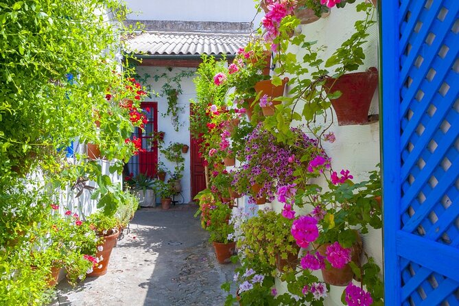 2-Day Guided Tour to Cordoba and Seville from Madrid - The 8:00 a.m. departure through La Mancha