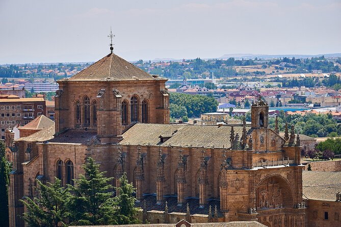 3-hour Private Tour of Salamanca - Who will get the most from this tour