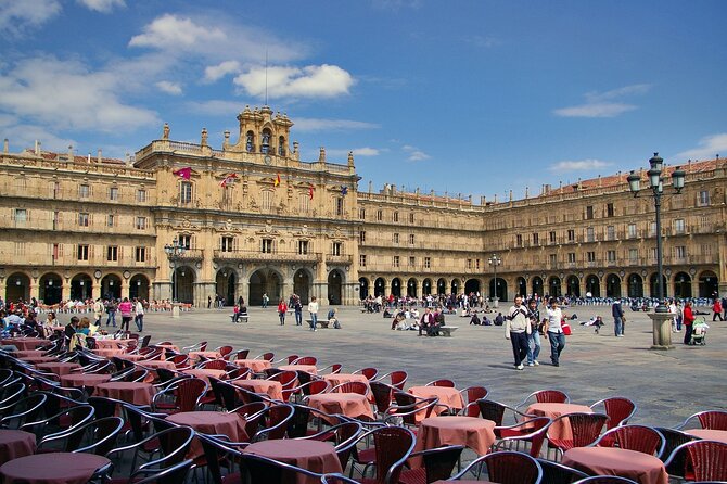 3-hour Private Tour of Salamanca - Casa de las Conchas and the Plateresque heart