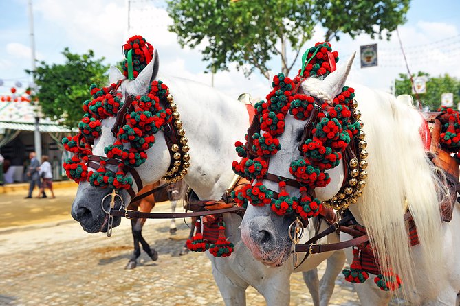 4-Day Guided Tour Cordoba, Seville, Granada and Toledo from Madrid - Leaving Madrid for Cordoba through La Mancha