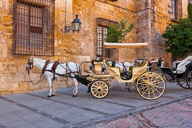 Andalusian Highlights: 6-Day Guided Tour from Madrid - Day 6: Toledo before the return to Madrid