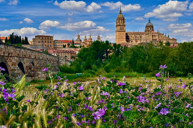 Avila and Salamanca : Magic and Small Group History from Madrid - Two historic cities in one long day