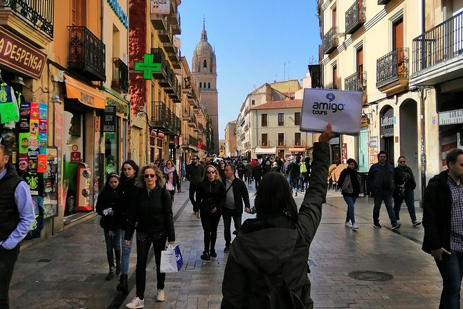 Avila & Salamanca Tour with Tickets to Cathedral + Medieval Wall - What the guide adds, and where the tour can falter