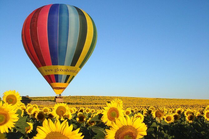 Balloon Ride Over Segovia or Toledo with Optional Transport from Madrid - Floating above Segovia’s countryside