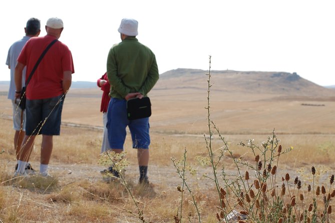 Battlefield of Salamanca 1812 (Los Arapiles) - A private tour led by Raul