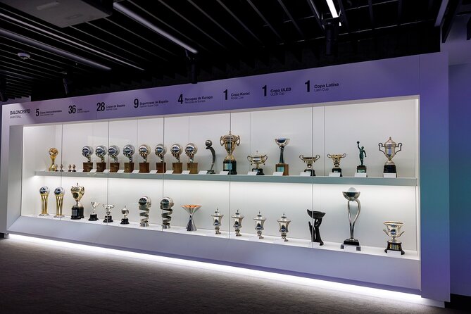 Bernabeu Stadium & Real Madrid Museum Guided Tour - The panoramic view and the stadium rebuild
