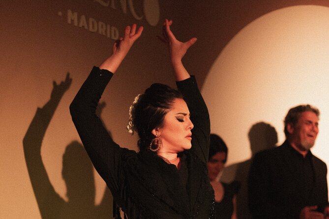 Centro Cultural Flamenco Madrid Admission Ticket - Why the unamplified room matters