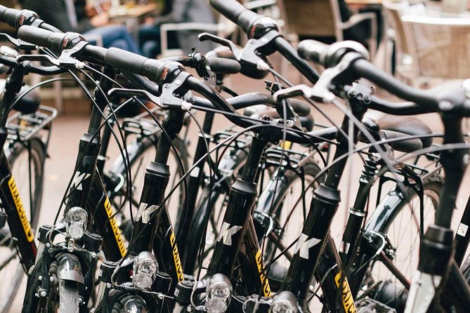 City Bike Rental with Phone Holder and Self Guided Tour - Using Madrid’s bike lanes and city streets