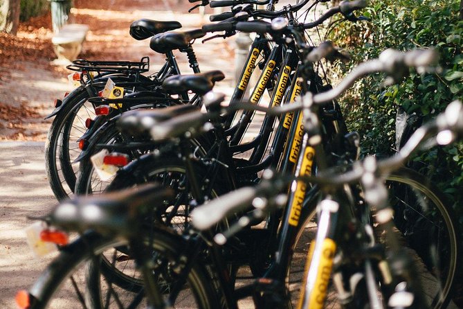 City Bike Rental with Phone Holder and Self Guided Tour - Service that helps when plans go wrong