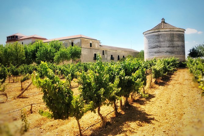 Discover the authentic wine culture of Rueda - Leaving Salamanca at 9:00 am