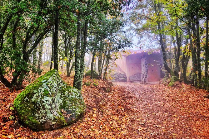 Discover the unique wine and villages of the Sierra de Salamanca - Why this Sierra de Francia day feels different