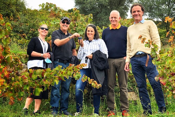Discover the unique wine and villages of the Sierra de Salamanca - What the $307.05 price includes