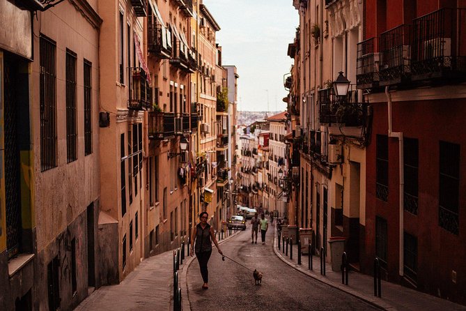 Drinks & Bites in Madrid Private Tour - How much food and drink do you really receive?