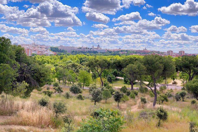 Ebike tour Madrid, green areas and panoramic views. 3 hours - Matadero Madrid adds contemporary culture