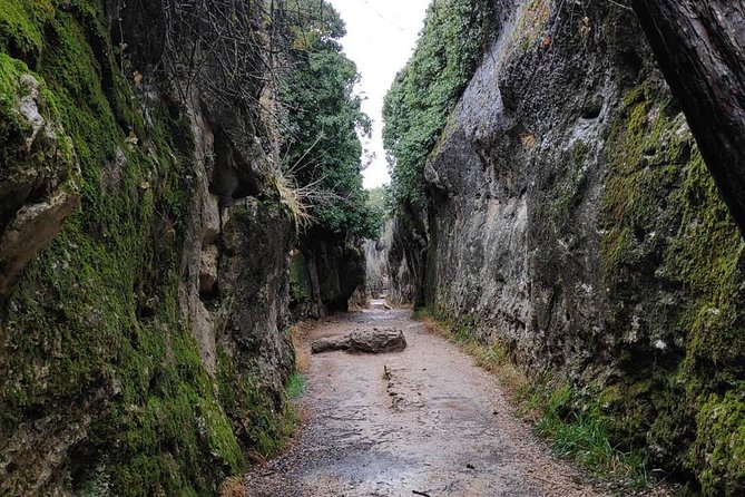 Excursion to Enchanted City and Ventano del Diablo - Is $46.44 a fair price?