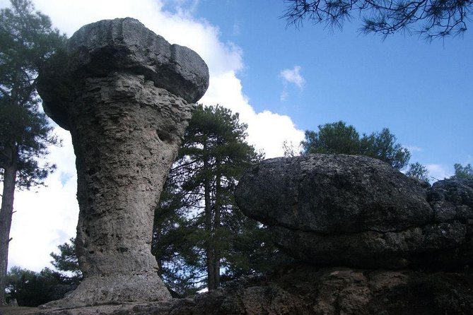 Excursion to the Enchanted City - Key points to know before booking