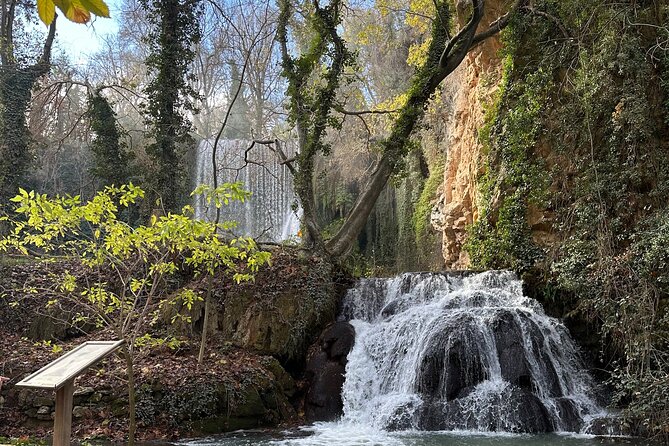 Explore the Stone Monastery and discover Sigüenza from Madrid - Cancellation and planning details
