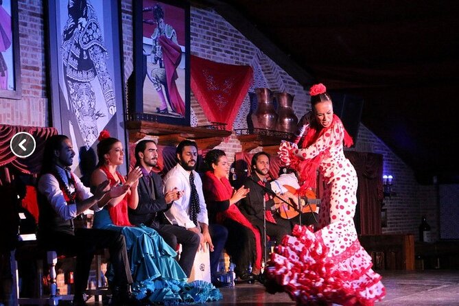 Flamenco night Show and Dinner in Madrid - What the flamenco performance does well