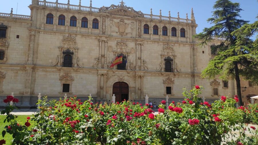 From Madrid: Alcalá de Henares & Cervantes Museum Day Trip - What $55 includes, and what it does not