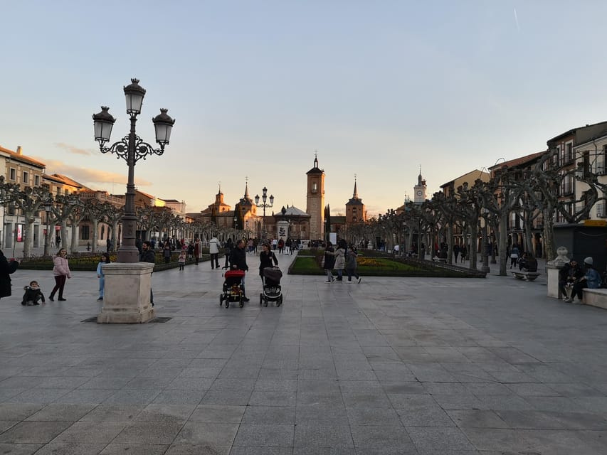 From Madrid: Alcalá de Henares, Winery Tour & Wine Tasting - Key Points Before You Book