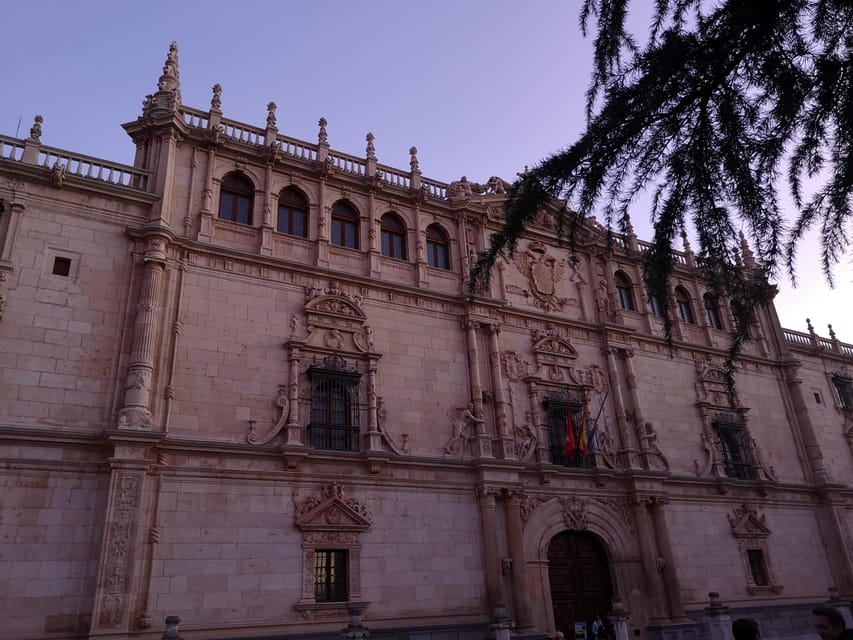 From Madrid: Alcalá de Henares, Winery Tour & Wine Tasting - Inside the Local Winery