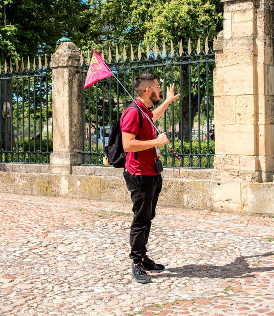 From Madrid: Ávila and Segovia Guided Day Trip - Segovia begins with a spectacular Roman aqueduct