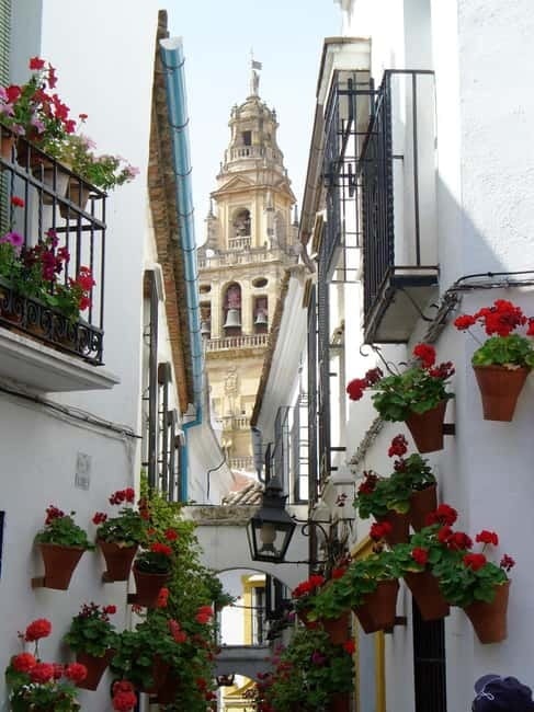 From Madrid: Cordoba and Mosque Day Trip by High-Speed Train - Two hours across the Spanish plateau