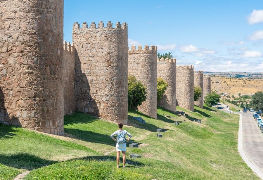 From Madrid: Day Trip to Ávila and Salamanca w/ Guided Tour - Key points to know before booking