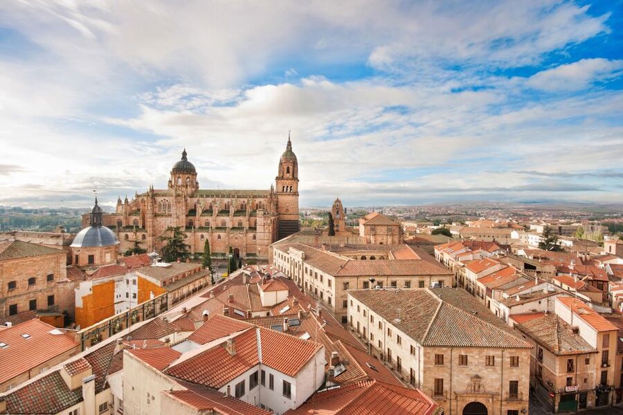 From Madrid: Day Trip to Ávila and Salamanca w/ Guided Tour - Who should choose this tour?