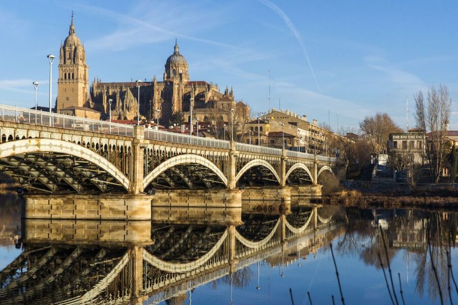 From Madrid: Day Trip to Ávila and Salamanca w/ Guided Tour - Should you book the Ávila and Salamanca day trip?