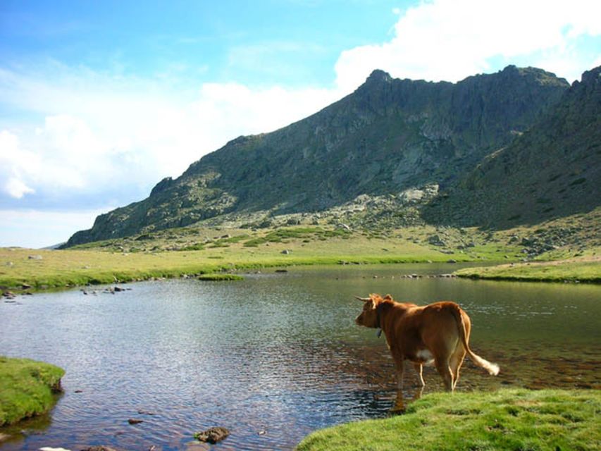 From Madrid: Day Trip to Guadarrama National Park - La Pedriza: two hours among granite and mountain trails