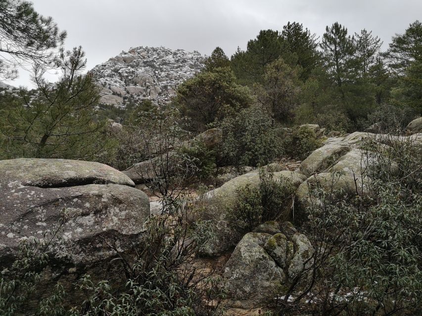 From Madrid: Day Trip to Guadarrama National Park - Navacerrada gives you a useful lunch break