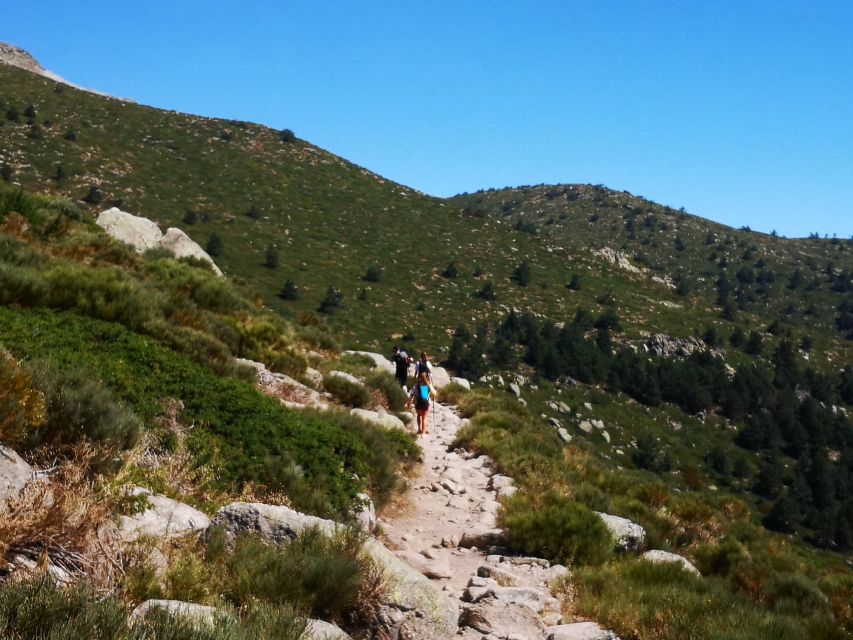 From Madrid: Day Trip to Guadarrama National Park - The six-panorama viewpoint and the longest afternoon walk