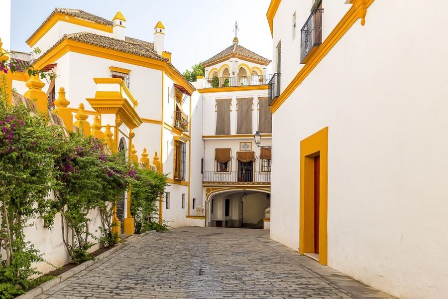 From Madrid: Discover the Best of Andalusia, 4 Nights - Day 2: Seville Cathedral, Santa Cruz, and a free afternoon
