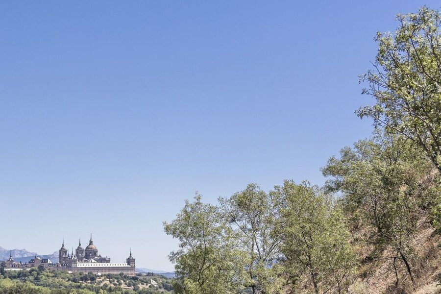 From Madrid: Escorial Monastery & Valley of the Fallen Trip - Who should book this half-day trip?