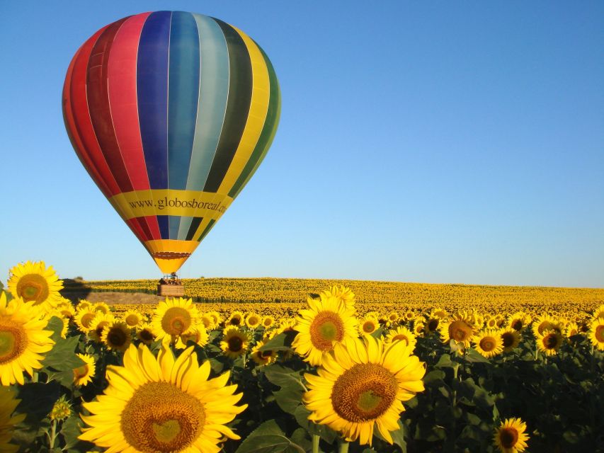 From Madrid: Hot Air Balloon Ride in Segovia with Pickup - Weather, cancellation, and practical planning