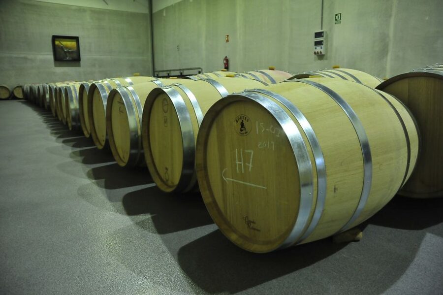 From Madrid: Ribera del Duero Tour of 3 Wineries w/ Tastings - First winery: modern design and precise winemaking