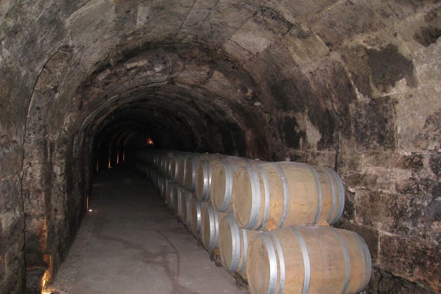 From Madrid: Ribera del Duero Tour of 3 Wineries w/ Tastings - The wine tastings and local snacks