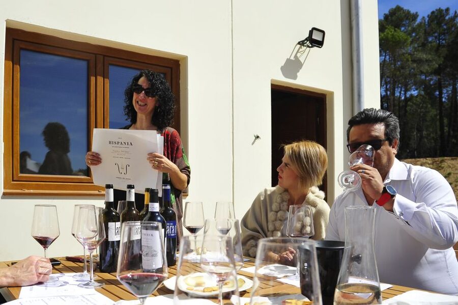 From Madrid: Ribera del Duero Tour of 3 Wineries w/ Tastings - Is $218 a fair price?