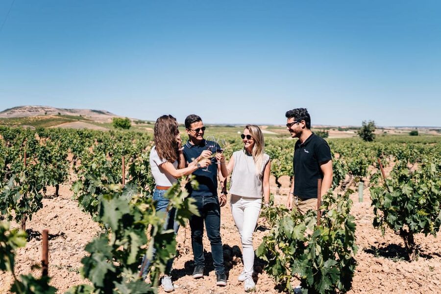 From Madrid: Ribera del Duero Winery and Segovia Tour - Leaving Madrid for the Ribera del Duero