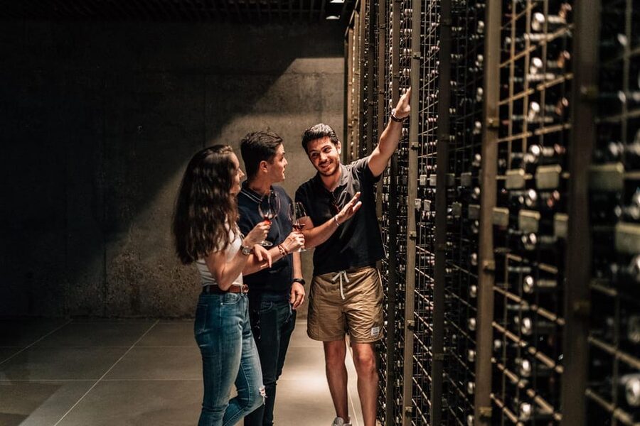 From Madrid: Ribera del Duero Winery and Segovia Tour - Free time in Segovia for food and wandering
