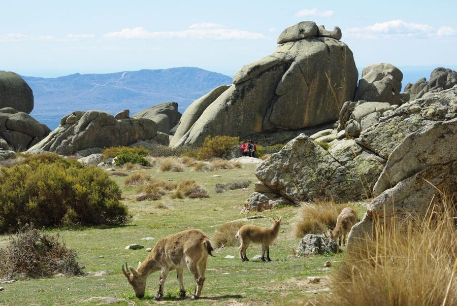 From Madrid: Sierra de Guadarrama Hiking Day Trip - Leaving Madrid for Sierra de Guadarrama