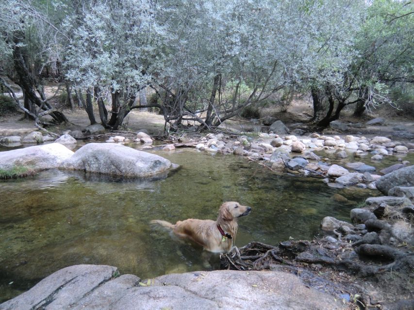 From Madrid: Sierra de Guadarrama Hiking Day Trip - Who Will Enjoy This Most