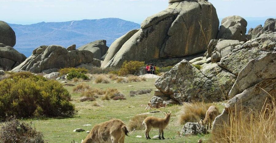 From Madrid: Sierra de Guadarrama Hiking Day Trip - Four Hours Among Granite, Pines, and River Sounds