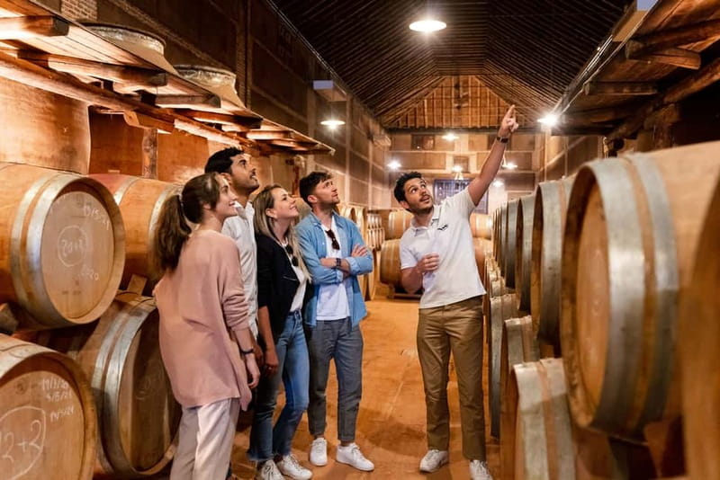 From Madrid: Toledo City Tour and Wine Tasting Experience - Walking through the Jewish Quarter and convent district