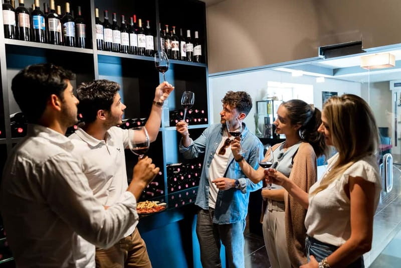 From Madrid: Toledo City Tour and Wine Tasting Experience - Three wines and a lesson in how they develop