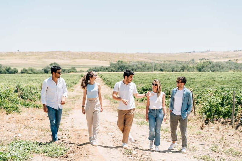 From Madrid: Toledo City Tour and Wine Tasting Experience - Transport, group size, and the pace of the day