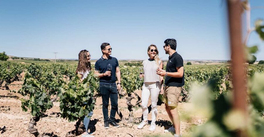 From Madrid: Traditional Villages, Winery Tour & Tapas Lunch - Key points to know before booking