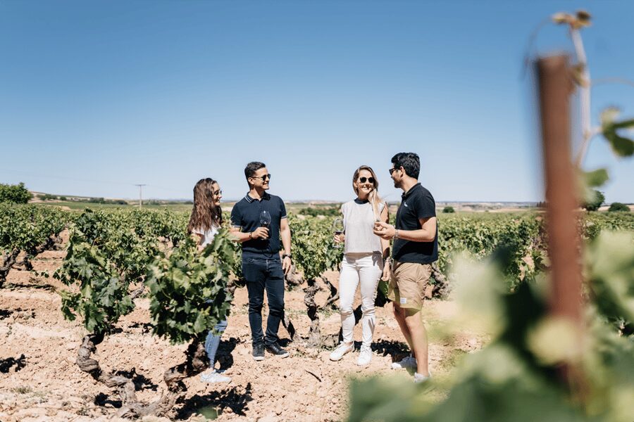 From Madrid: Traditional Villages, Winery Tour & Tapas Lunch - Aranjuez, royal gardens, and a slower pause